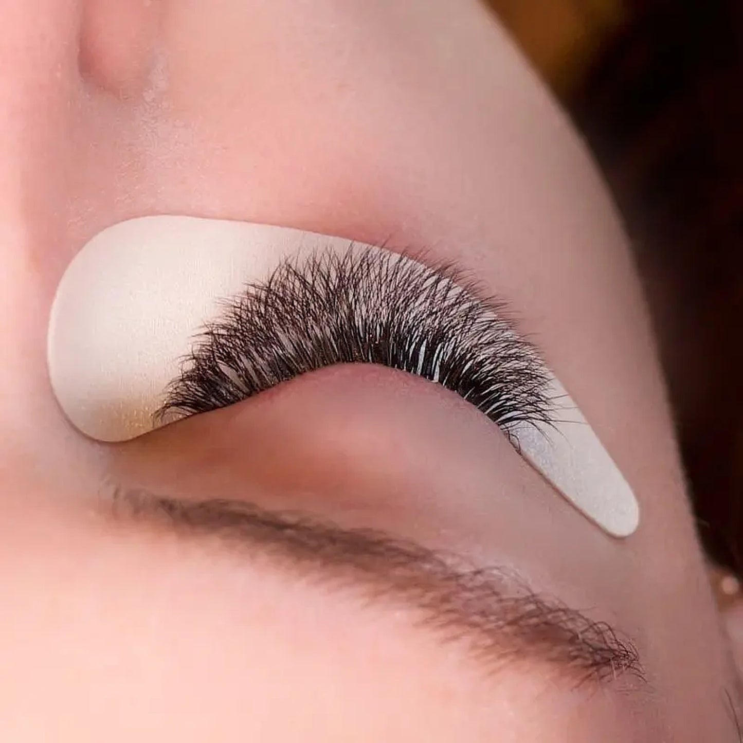 Premium Foam Under Eye Pads (Pack of 50)